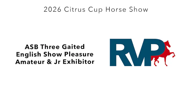 CC26 - Class 132 - ASB Three Gaited E...