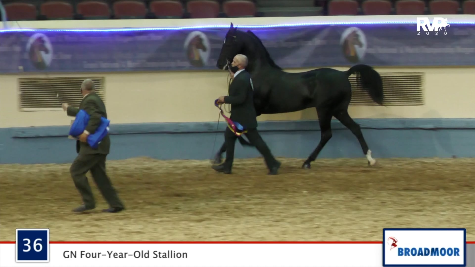 2020 MGN - Class 36 GN Four-Year-Old Stallion