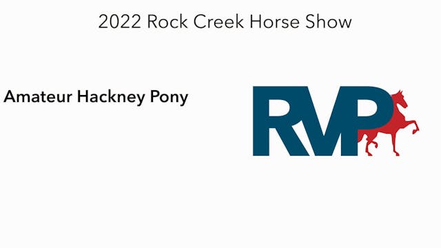 RC22 - Class 59 -  Amateur Hackney Pony 