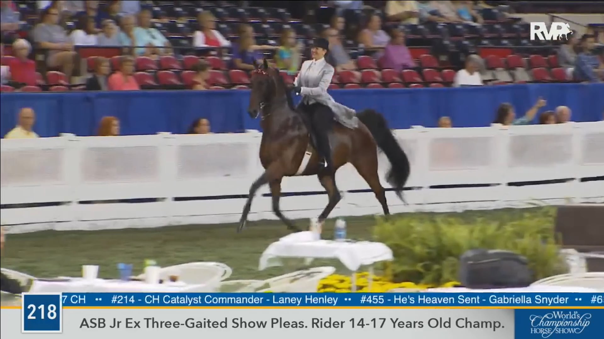 2016 WCHS - Class 218 Junior Exhibitor Three Gaited
Show Pleasure Rider 14-17
Championship