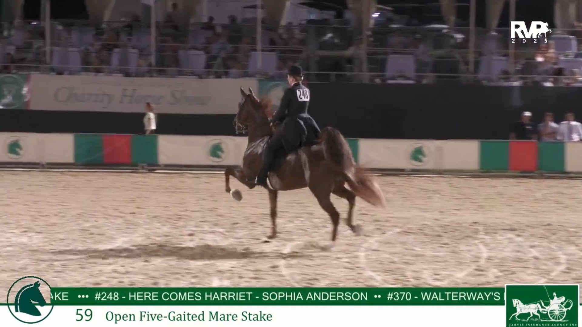 LJL25 - Class 59 - Open Five Gaited Mare Stake