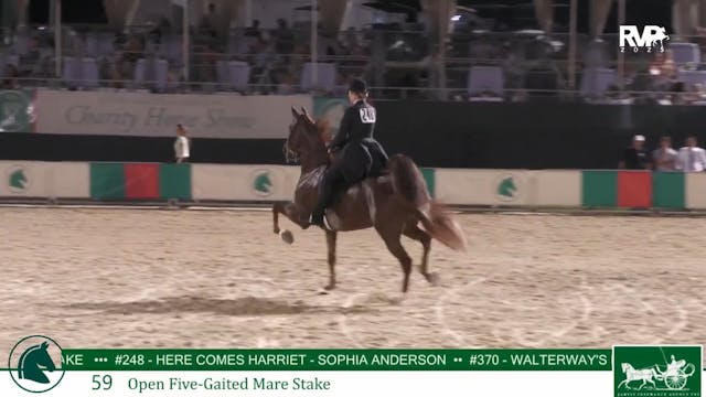 LJL25 - Class 59 - Open Five Gaited M...