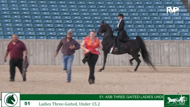 LJL24 - Class 51 - Ladies Three Gaited