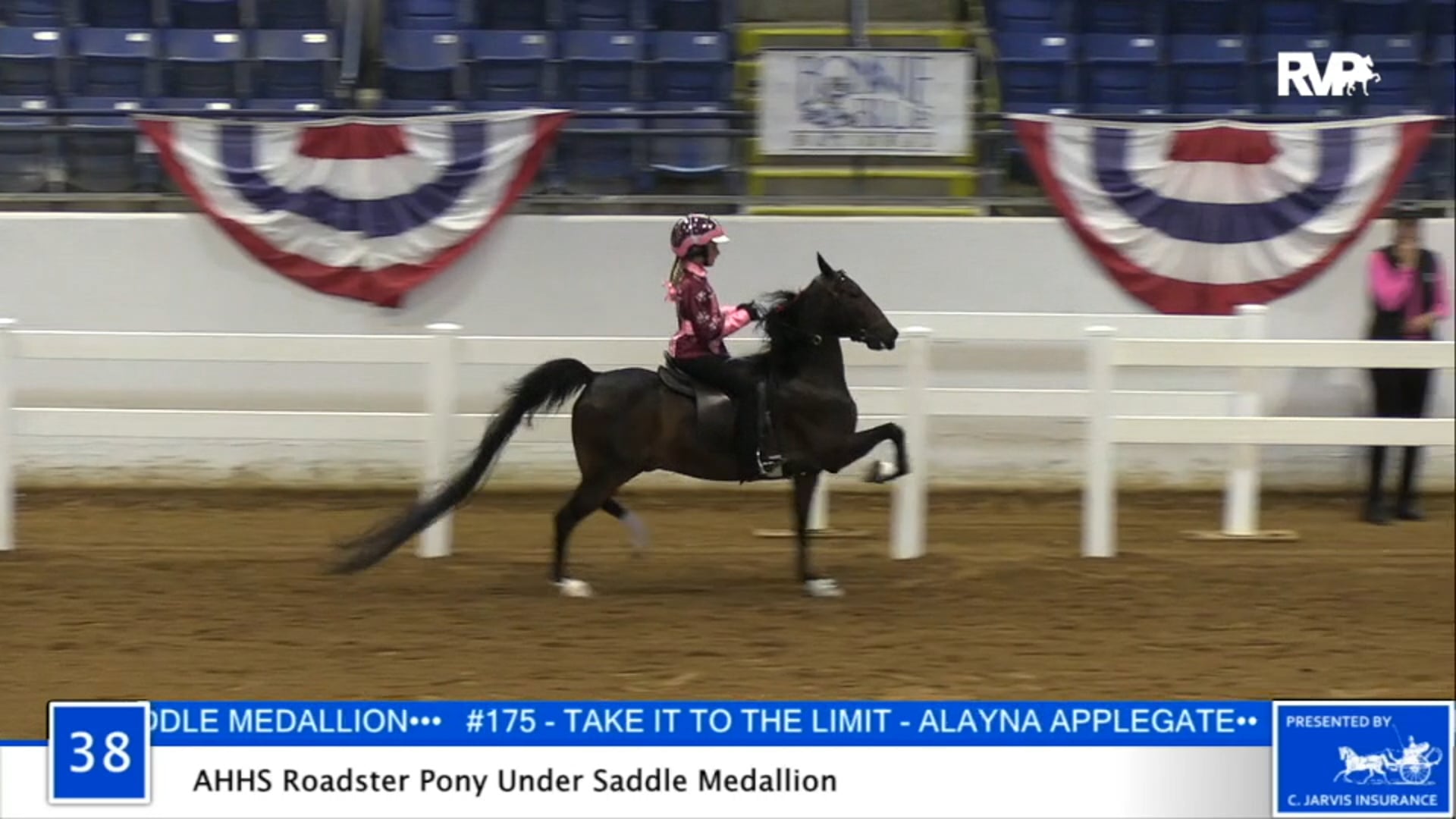 2020 BB - Class 38 AHHS Roadster Pony Under Saddle Medallion