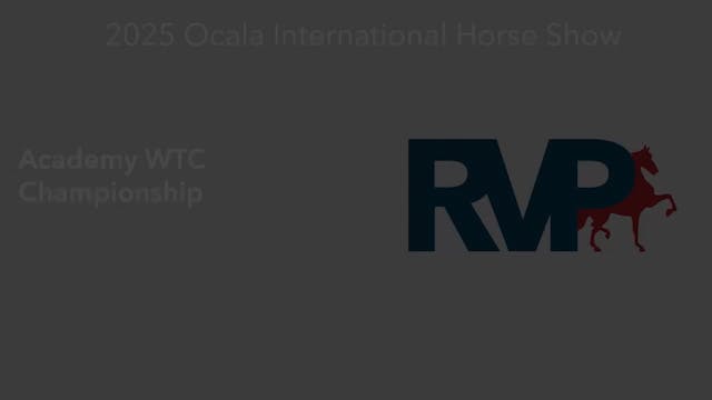 OI25 - Class 317 -  Academy WTC Champ...