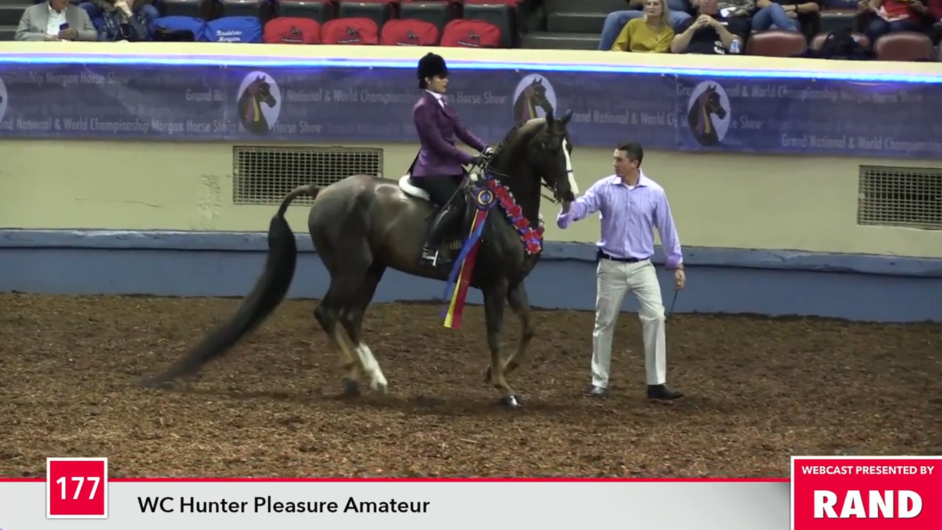 MGN17 - Class 177 - Epona's Mo'o Lio GCH