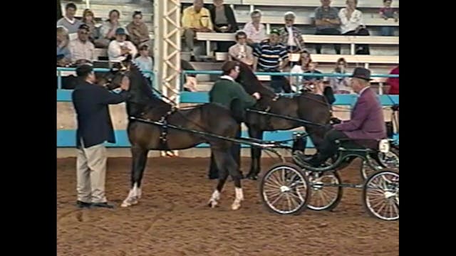 2000 Des Moines Spring Horse Show - U...