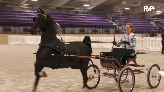 CC26 - Class 86 - Single Hackney Pony...
