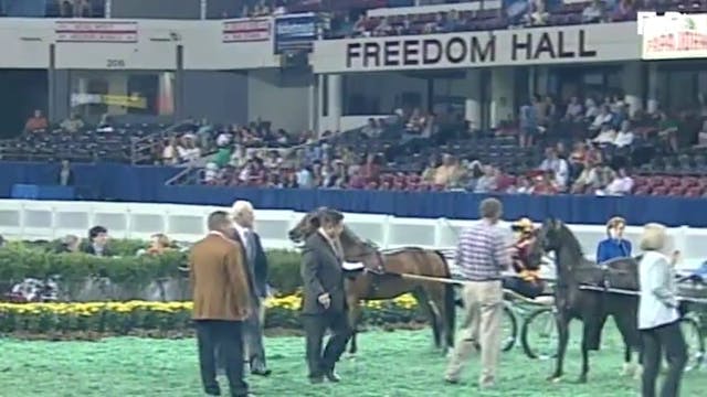 2010 World's Championship Horse Show ...