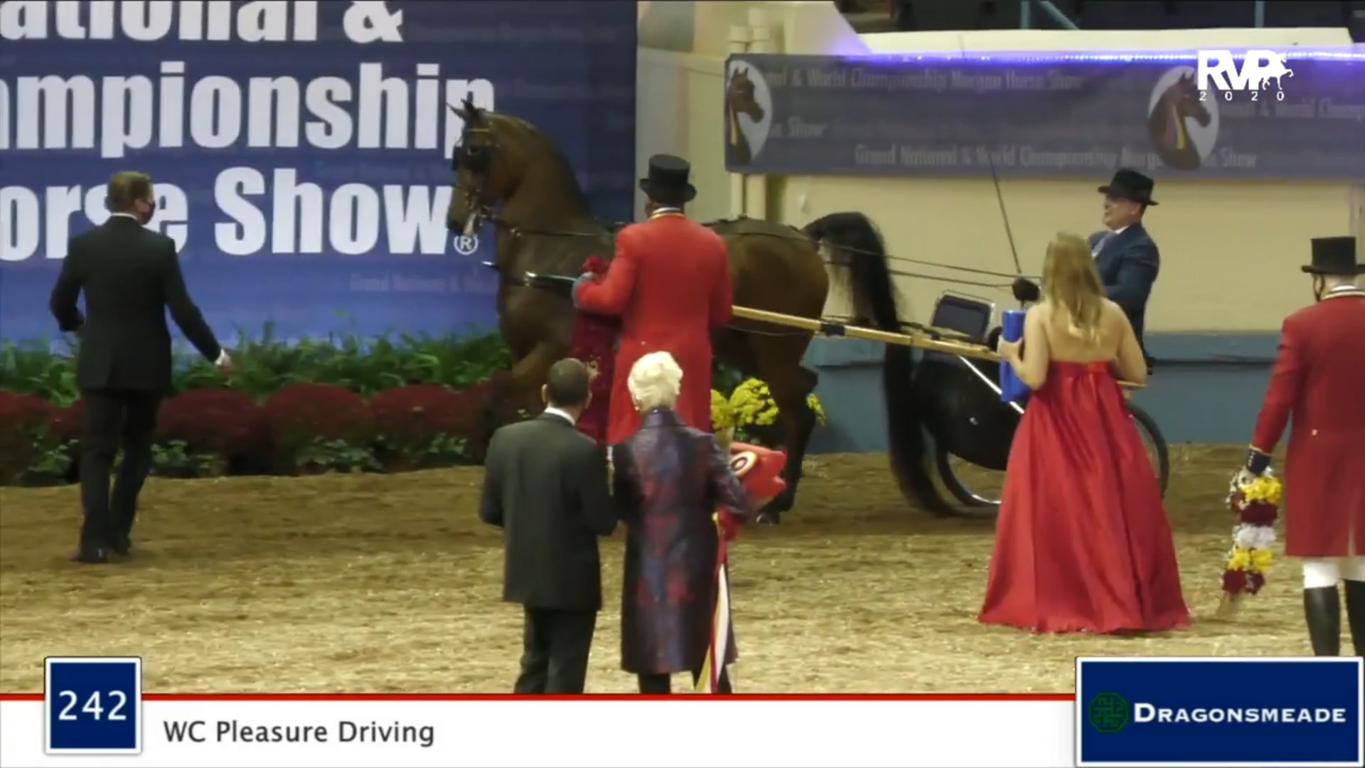 2020 MGN - Class 242 WC Pleasure Driving