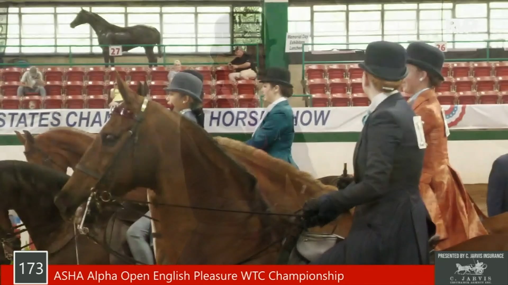 SS21 - Class 173 - ASHA Alpha Open English Pleasure WTC Championship