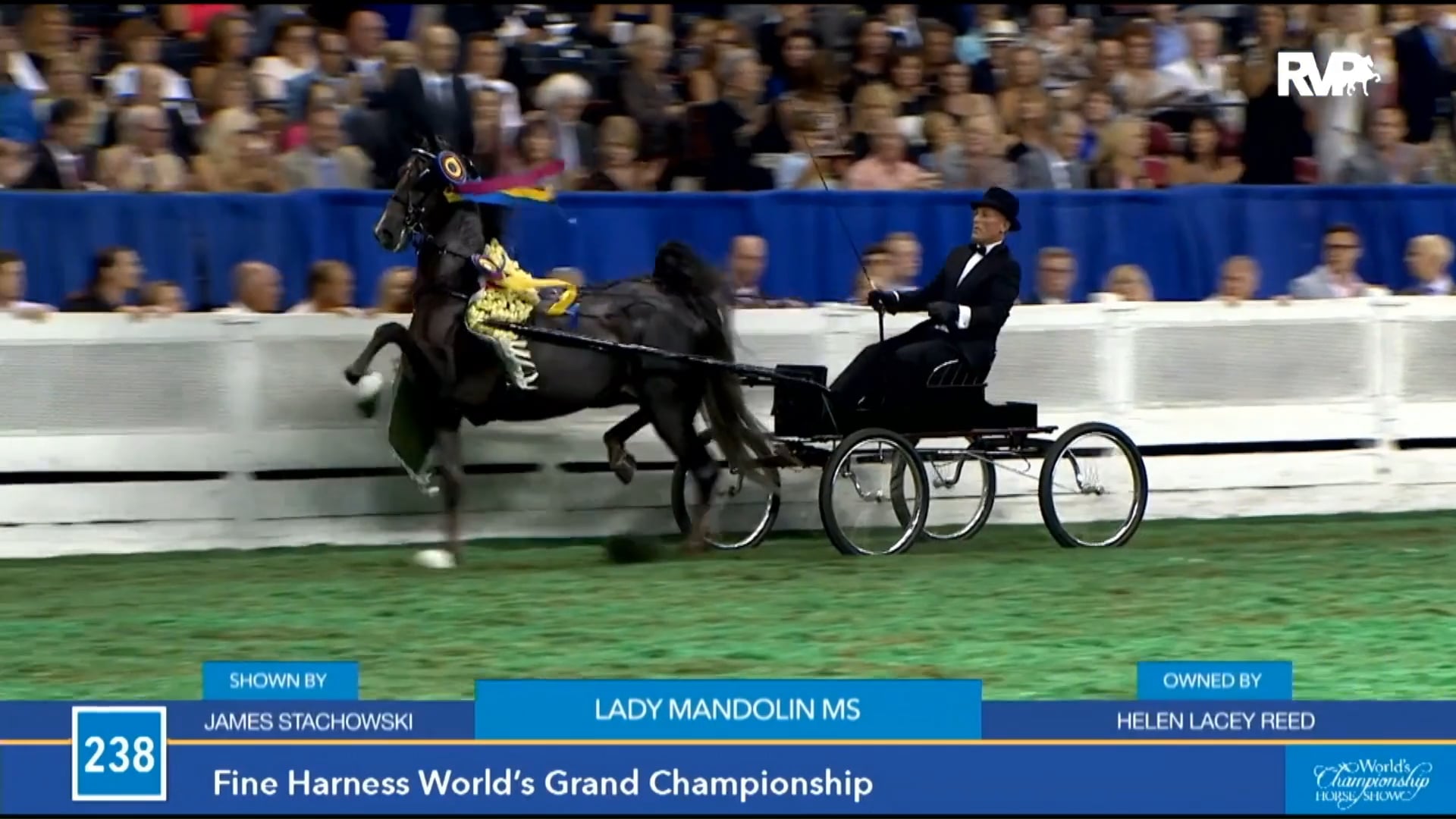 2018 Midwest Charity Horse Show Thursday Matinee