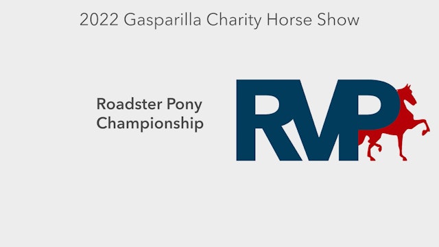 GASP22 - Class 142 - Roadster Pony Championship