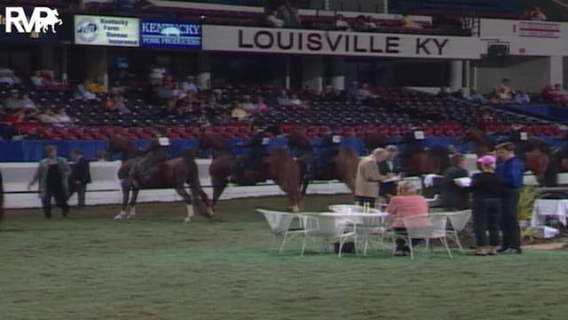 2004 World's Championship Horse Show ...