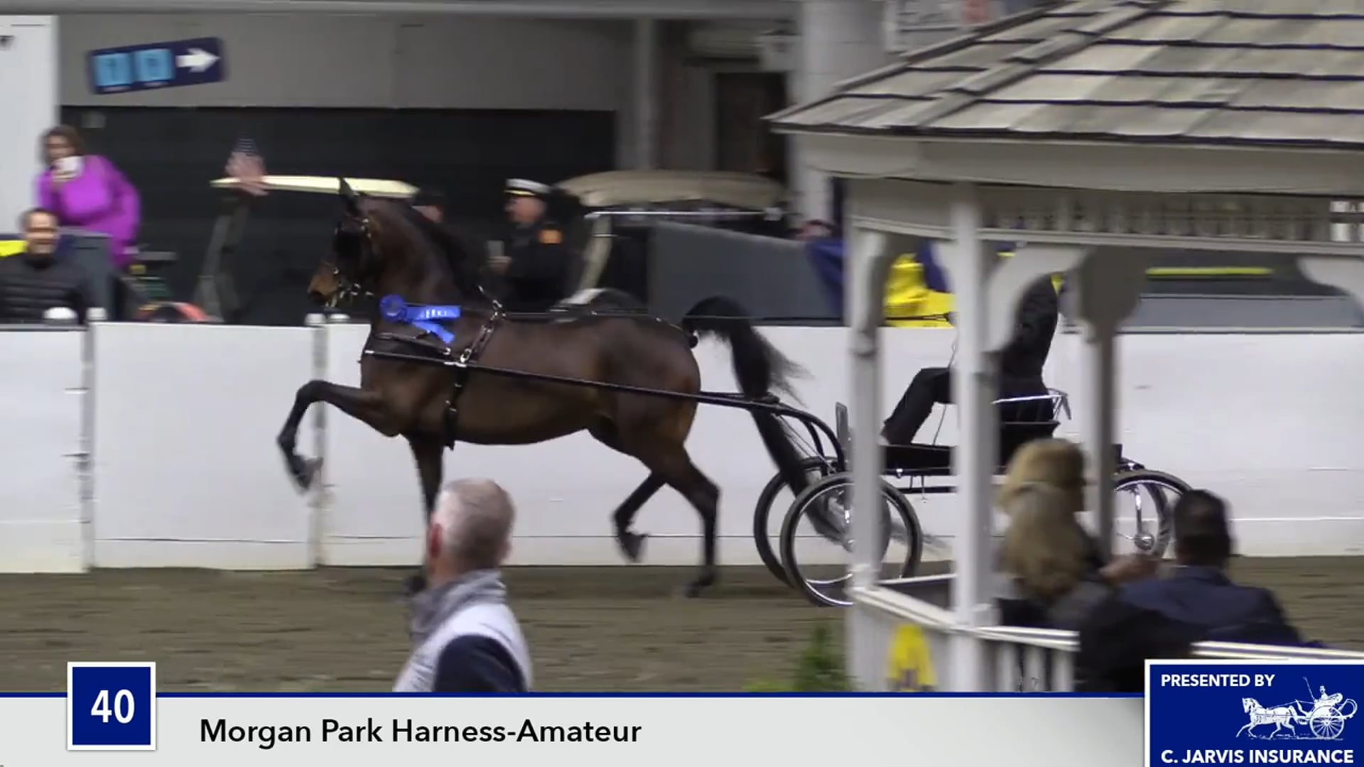 UPHACh14 17 - Queen's Jim Dandy 