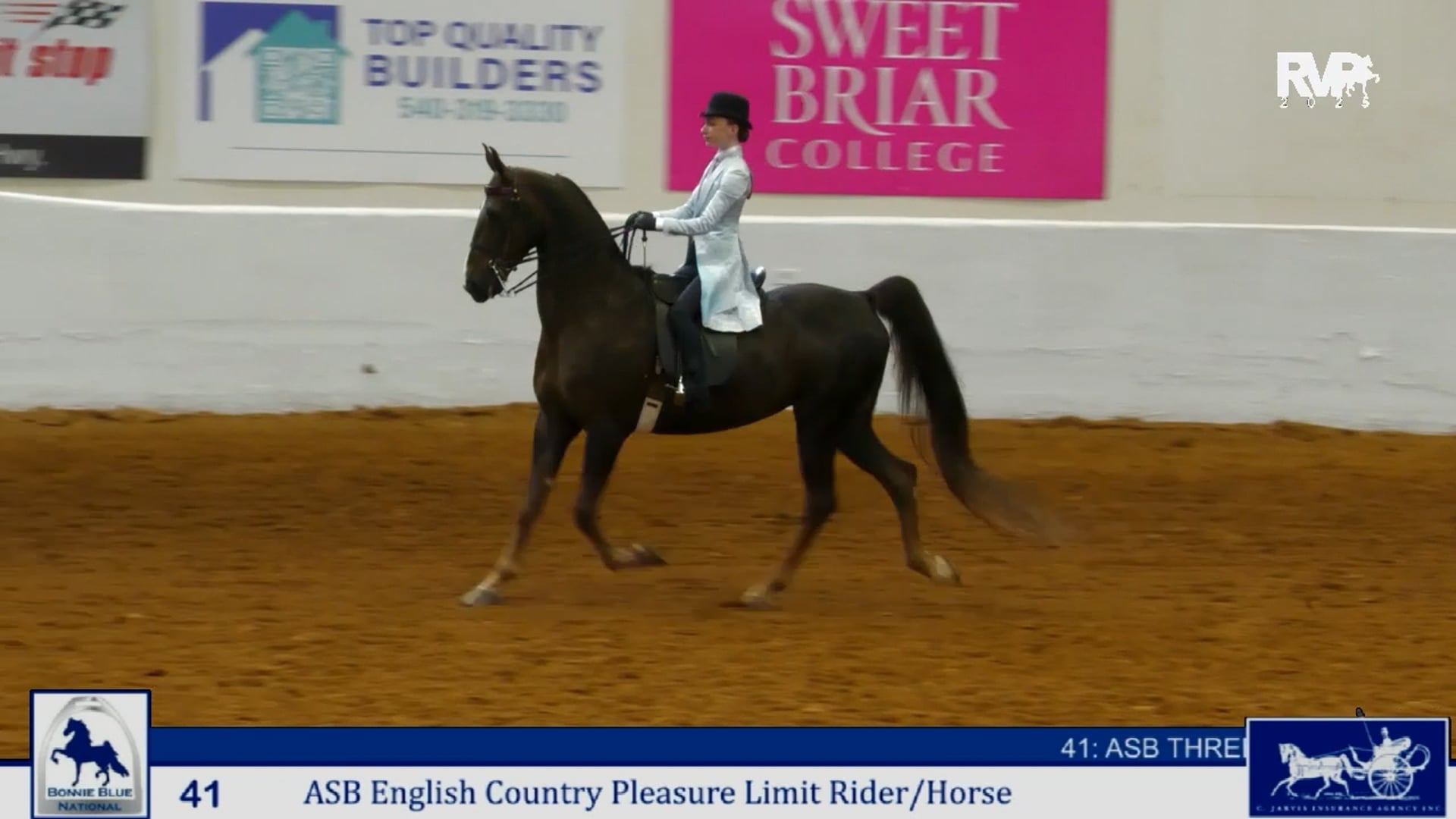 BB25 - Class 41 - ASB English Country  Pleasure Limit RiderHorse