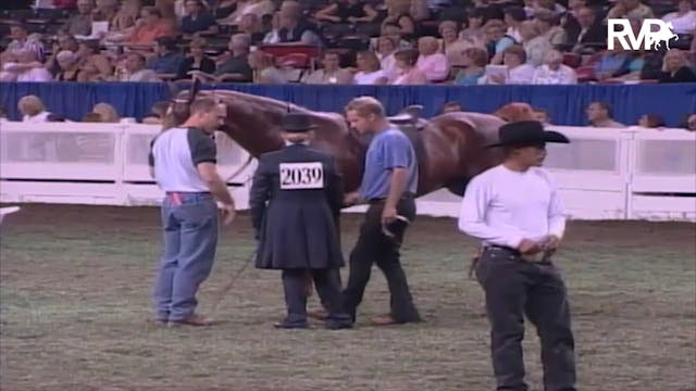 2003 WCHS Class 97 Junior Exhibitor F...