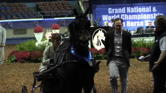 MGN17 - Class 73 - Dragonsmeade Might...