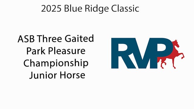 BRC25 - Class 151 - ASB Three Gaited ...