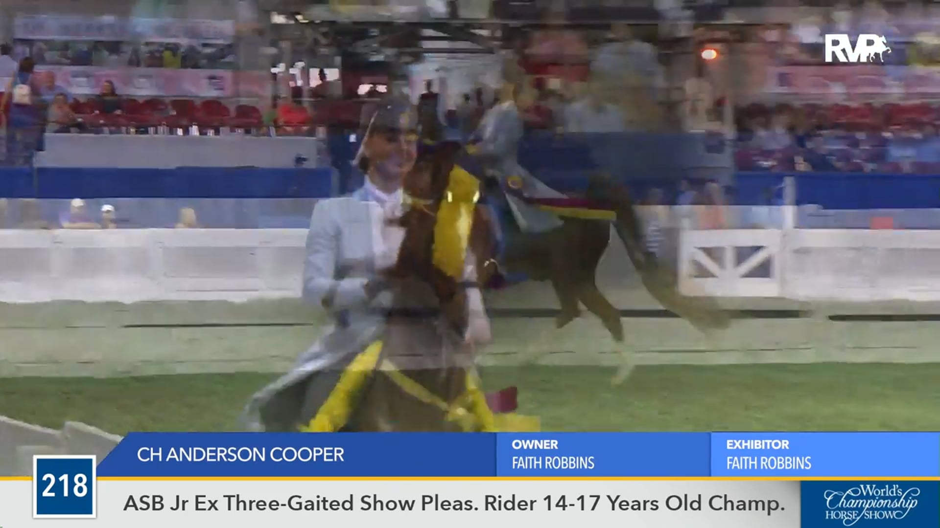 WCHS16 - CH Anderson Cooper - Championship