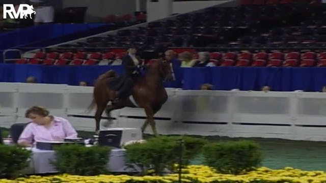 2004 World's Championship Horse Show ...