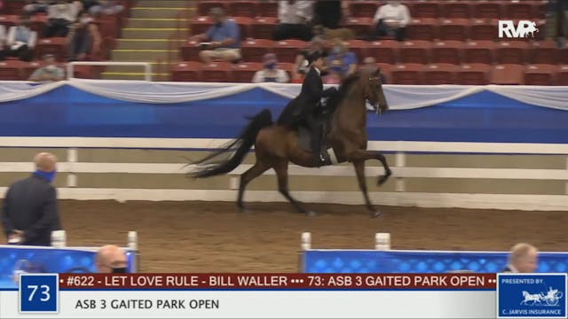 BR20 - Class 73 ASB Three Gaited Park...