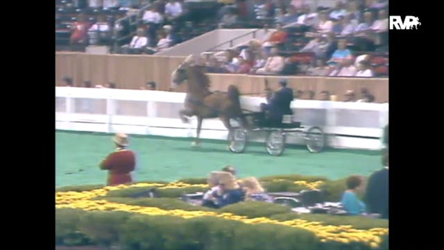 1989 WCHS Class 5 Kentucky County Fai...