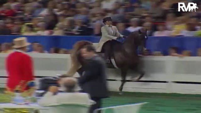 2004 World's Championship Horse Show ...