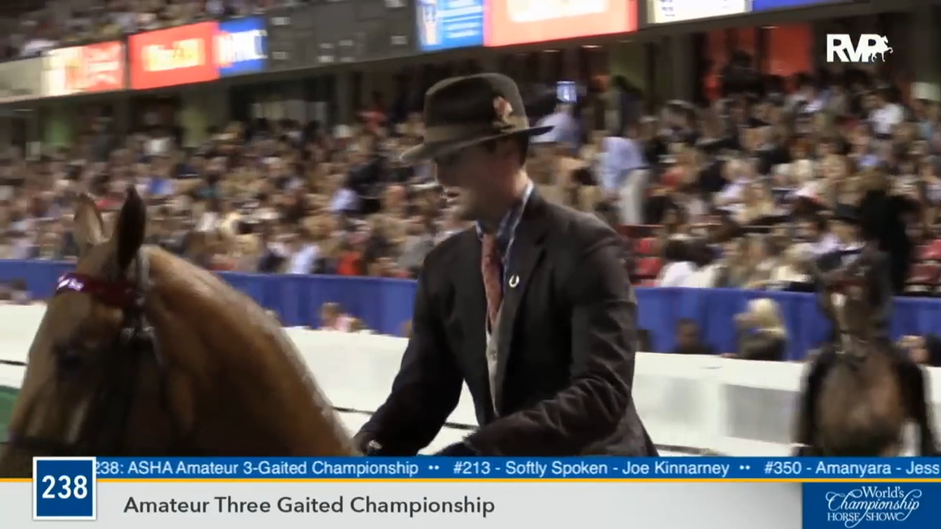 2016 WCHS - Class 238 Amateur Three Gaited
 Championship