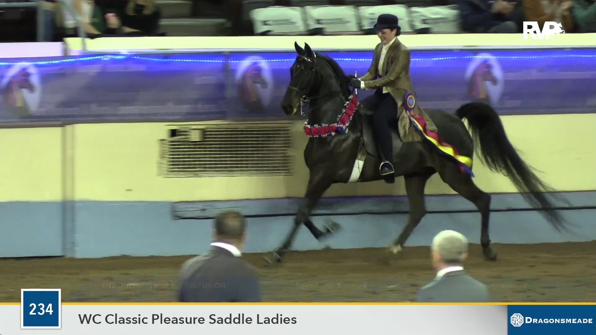 MGN19 - Dragonsmeade Iconicfusion - Class 234