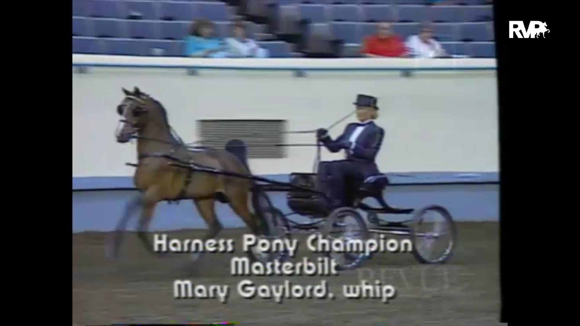 Looking Back on the 1995 Oklahoma Centennial Horse Show