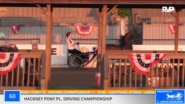 2020 MCF - Class 60 Hackney Pony Plea...