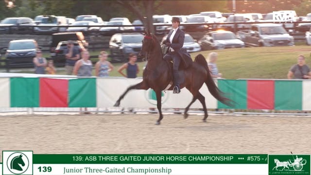 LJL24 - Class 139 - Jr Three Gaited C...