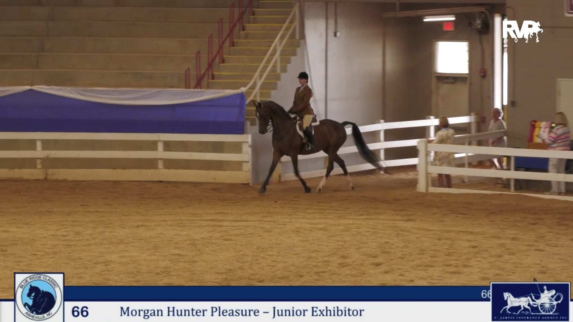 BRC25 - Class 66 - Morgan Hunter Pleasure Jr. Exhibitor