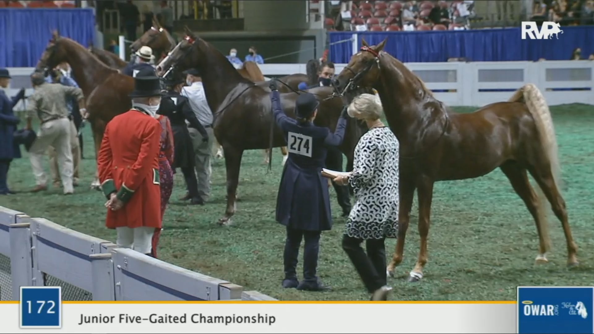 WCHS 2020 Class 172 - Junior Five-Gaited Championship