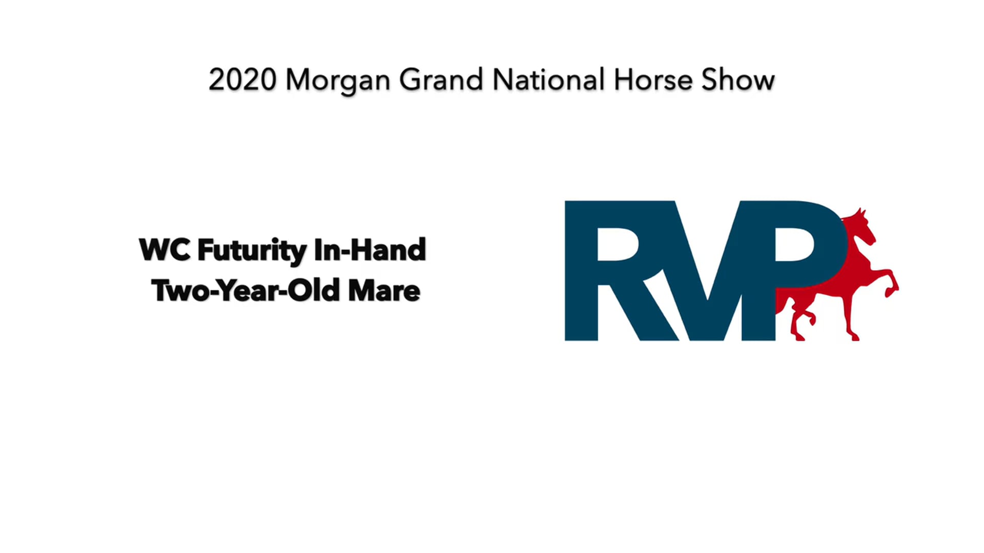 2020 MGN - Class 192 WC Futurity In-Hand Two-Year-Old Mare