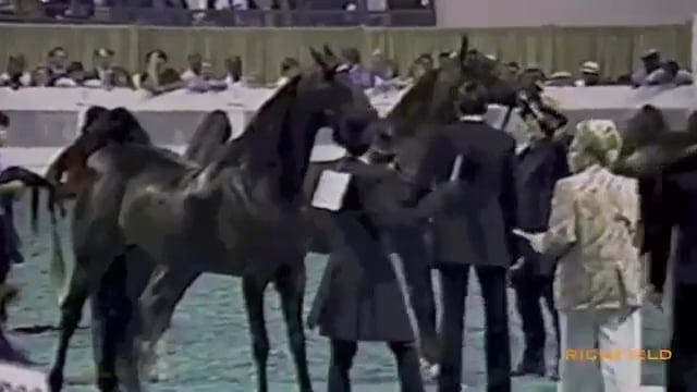 1988 WGC Five Gaited Champ Part 1