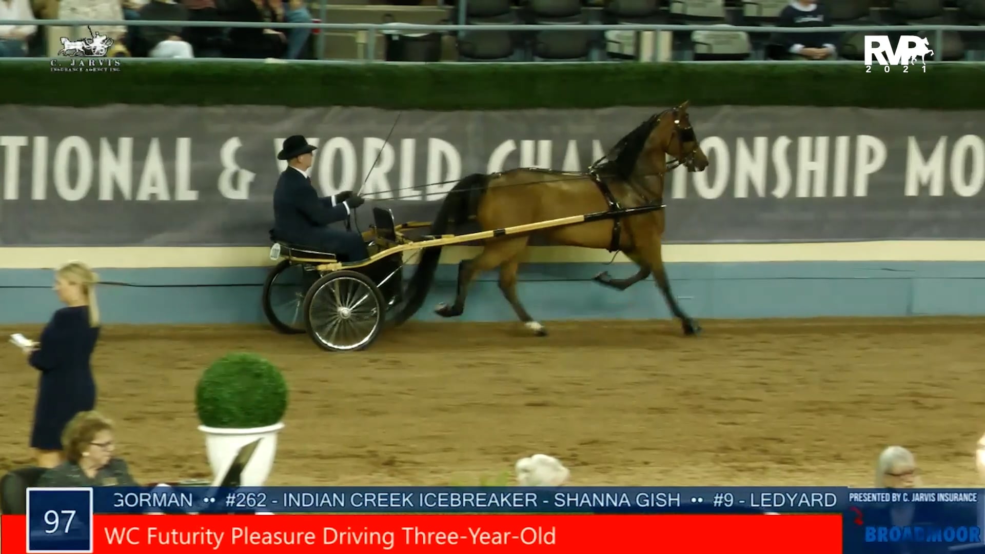 MGN21 - Class 97 - WC Futurity Pleasure Driving Three-Year-Old