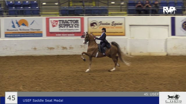 BB22 - Class 45 -  USEF Saddle Seat M...