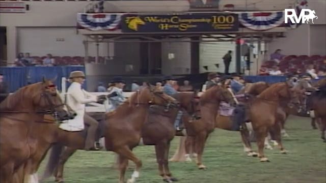 2003 WCHS Class 67 ASB Three Gaited S...