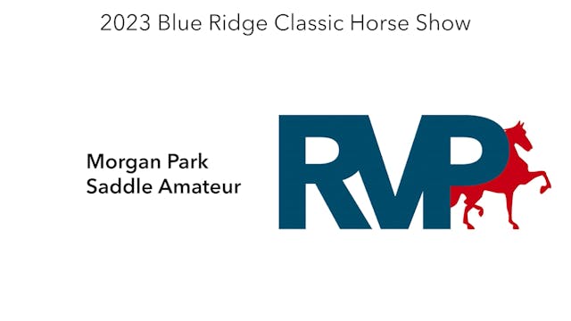 BR23 - Class 29 - Morgan Park Saddle ...