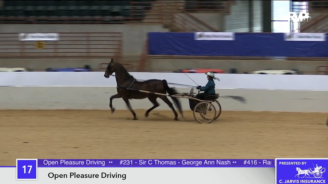 Pro-Am 2018 - Thursday Morning