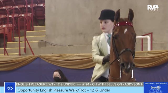 2021 Asheville Saddlebred Classic - F...