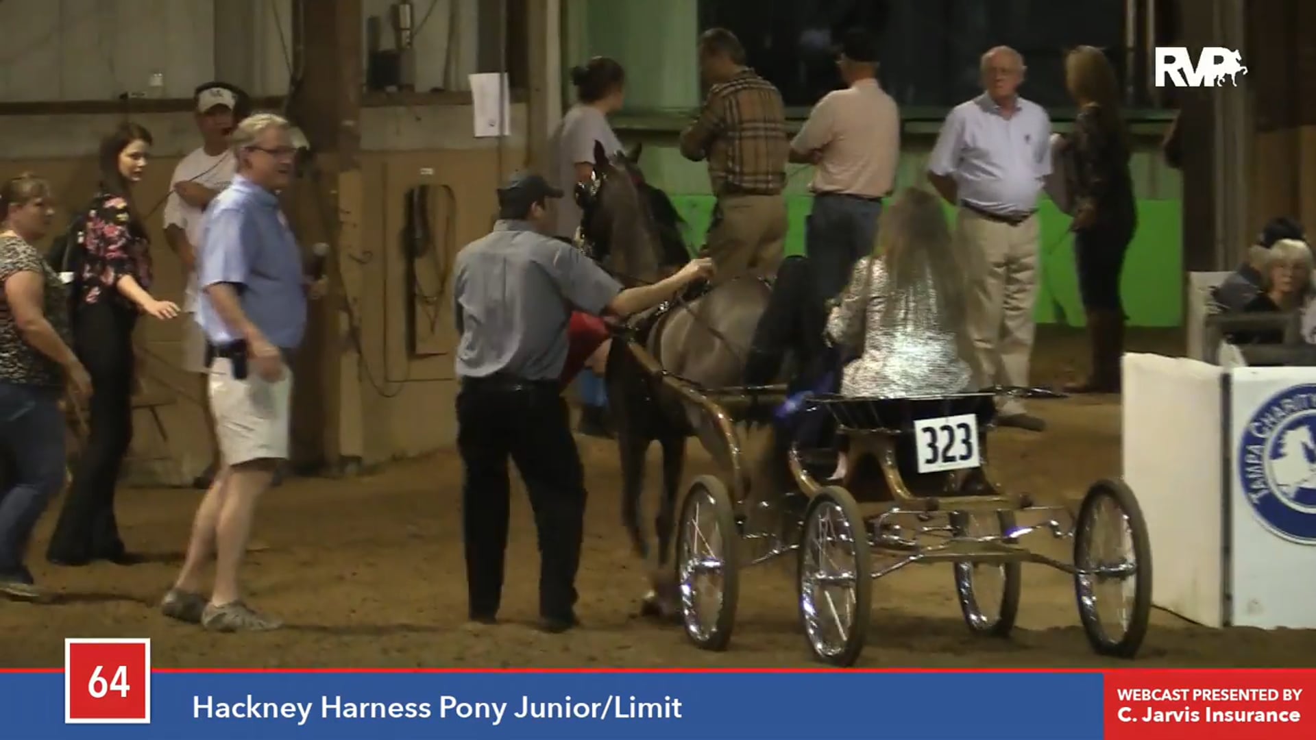 TC16 - Crystal Creek's Hot To Trot