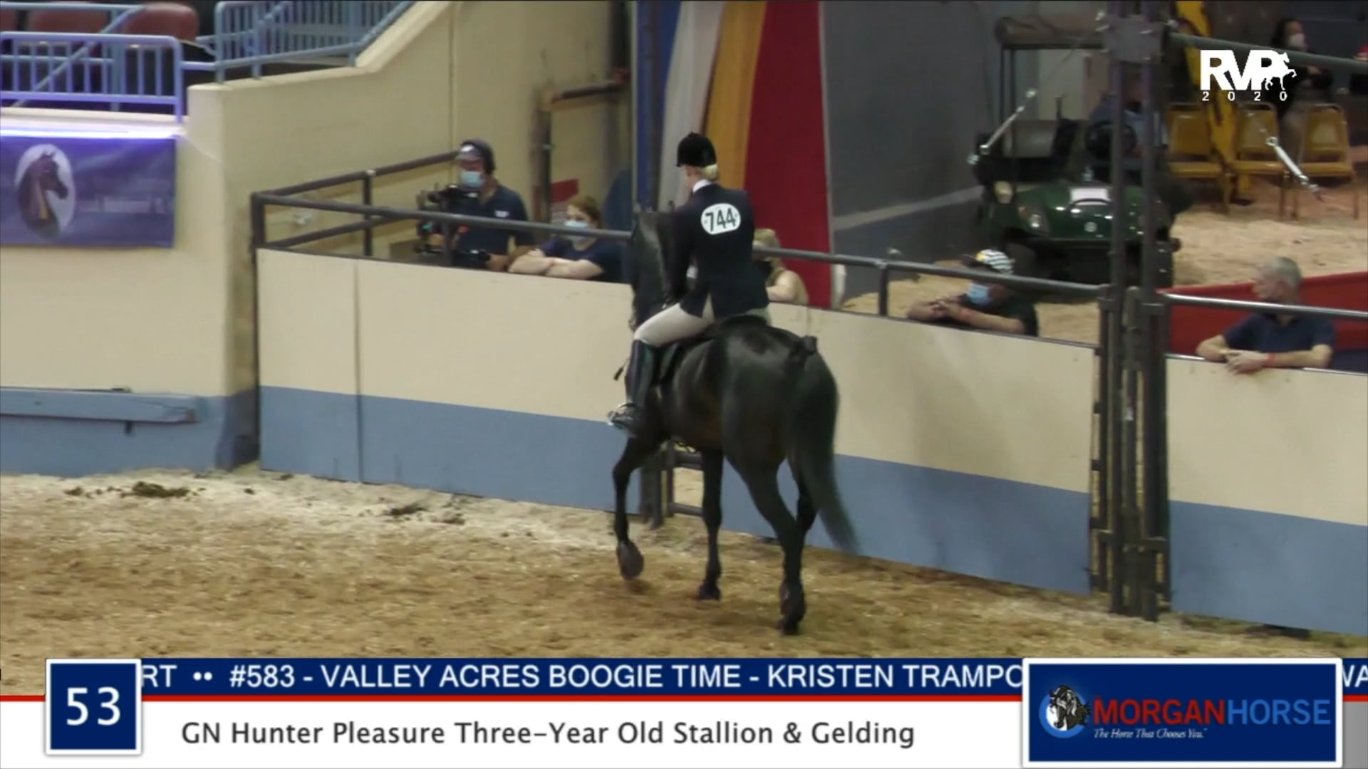 2020 MGN - Class 53 GN Hunter Pleasure Three-Year-Old Stallion & Gelding