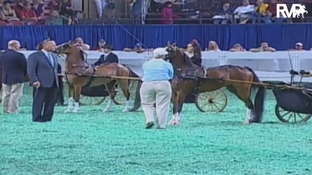 2009 World's Championship Horse Show ...