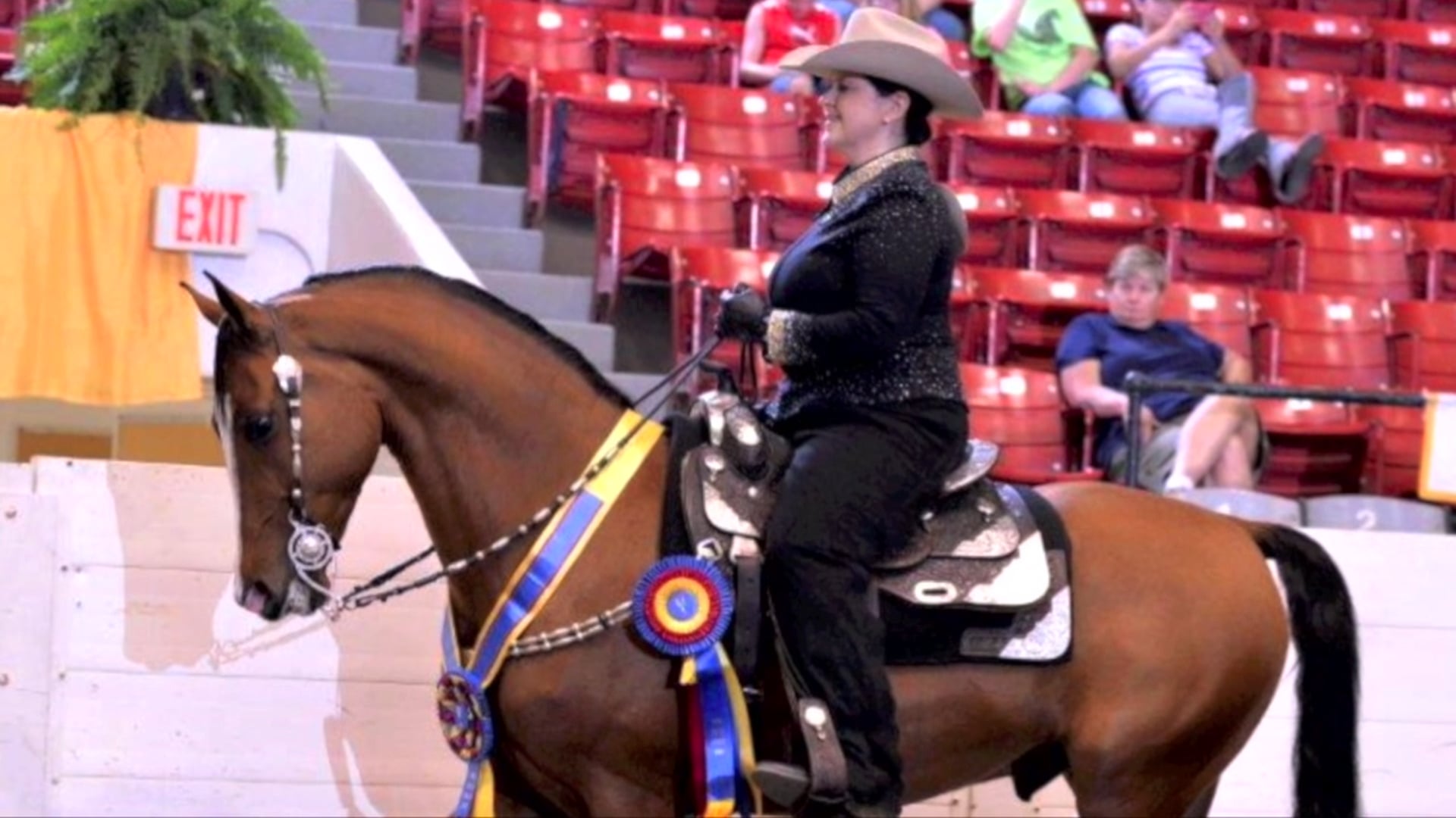 2016 Shanna Gish - AMHA ProfessionalHorseman Award