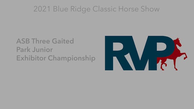 BR21 - Class 155 - ASB Three Gaited P...