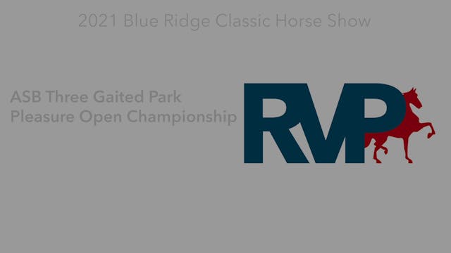 BR21 - Class 128 - ASB Three Gaited P...