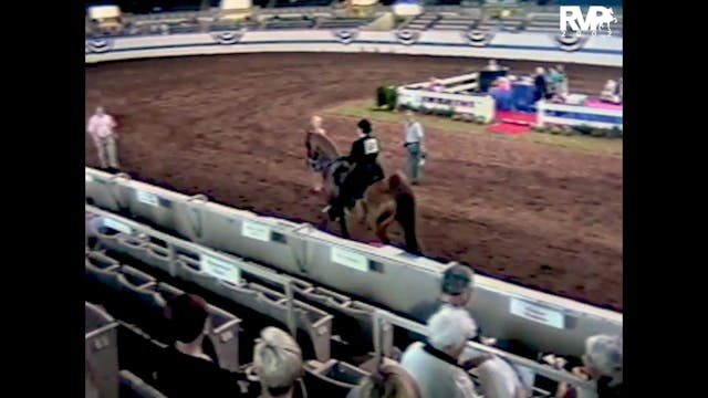 2002 All American - Open Three Gaited...